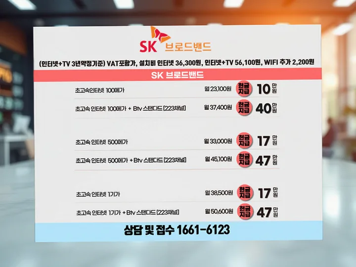 국우동 인터넷 설치 사례 2
